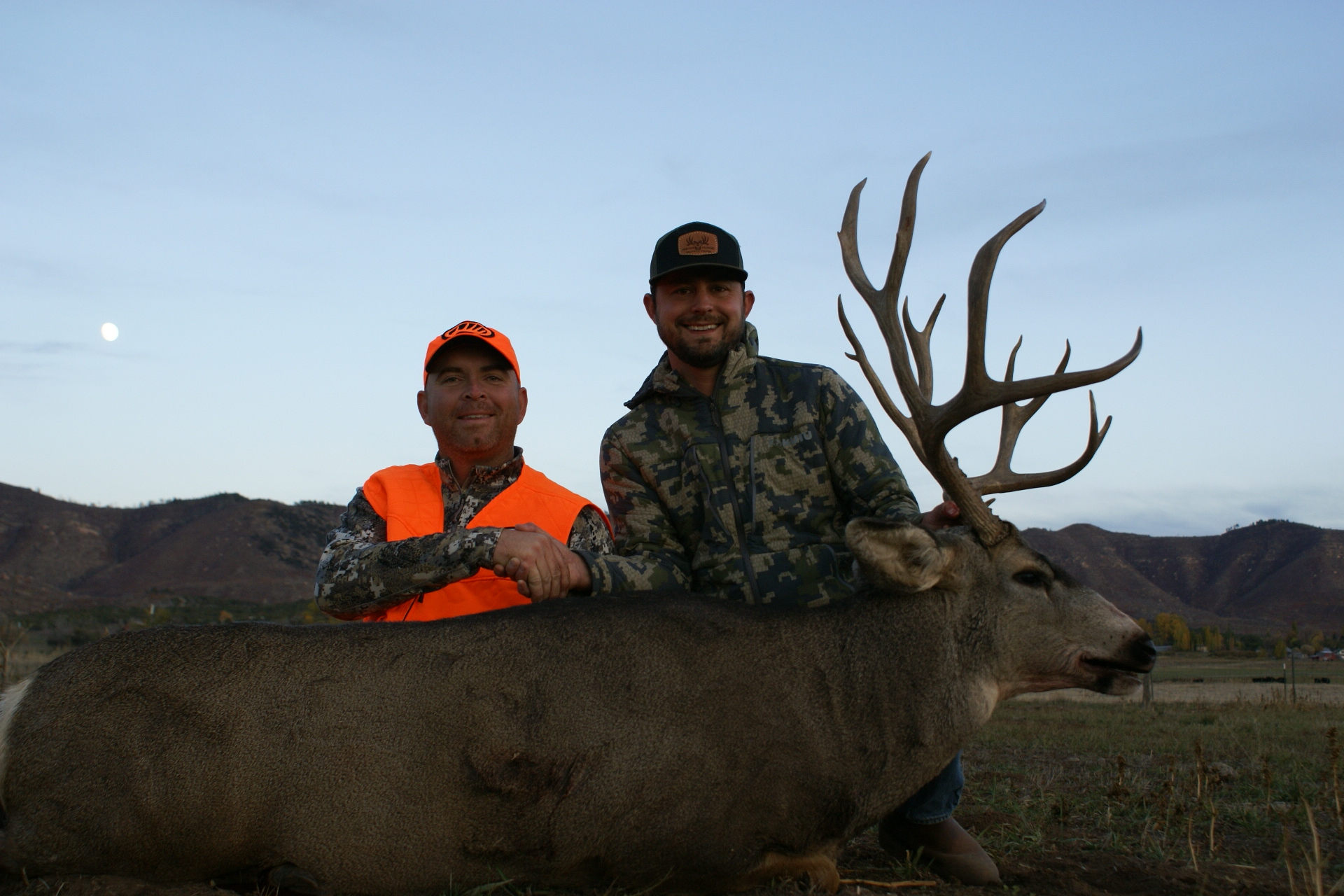 mule-deer-diamond-outfitters