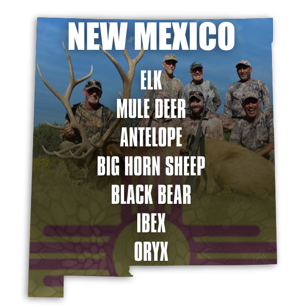 Diamond-Outfitters-New-Mexico-2