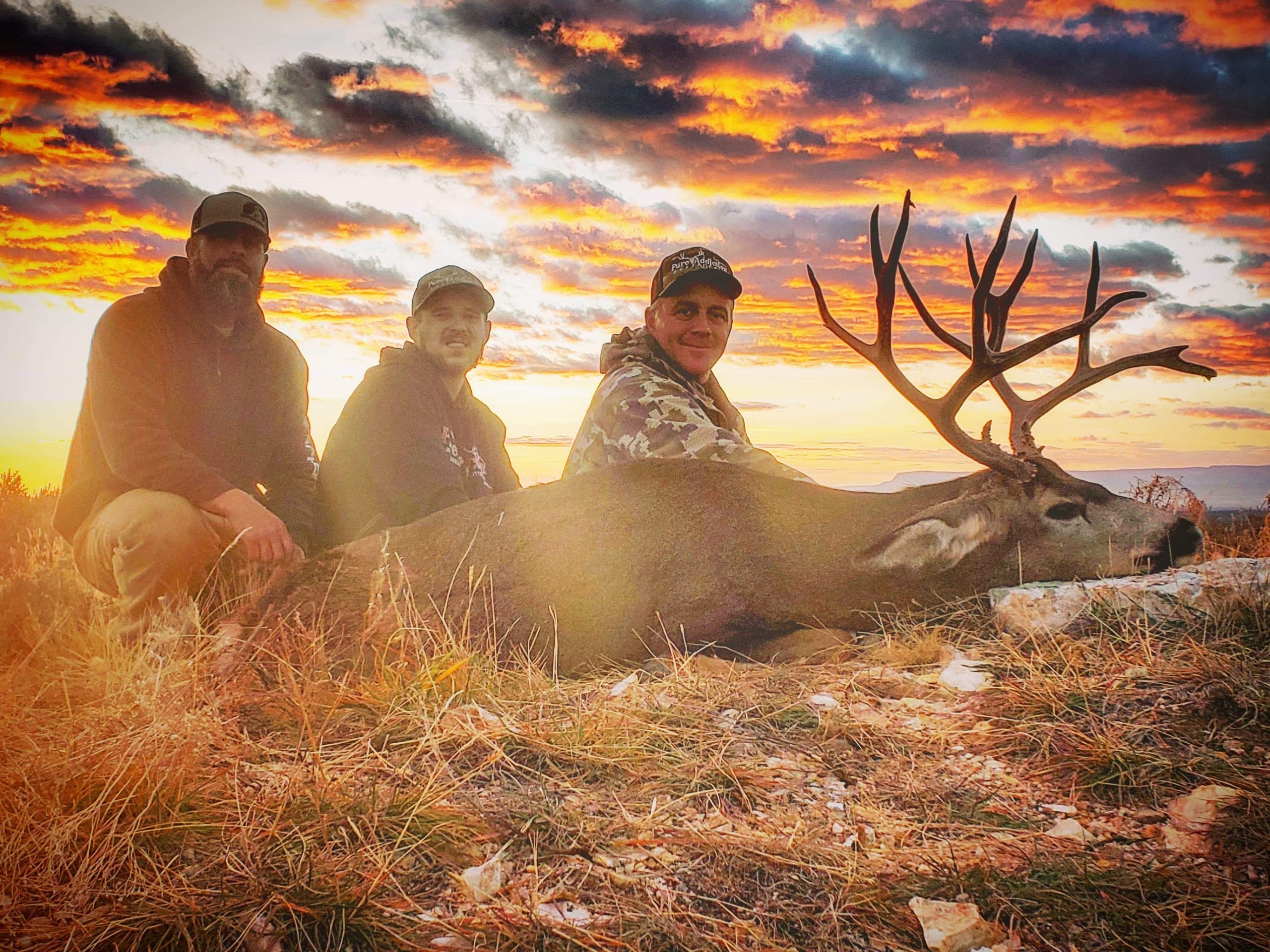 mule-deer-diamond-outfitters