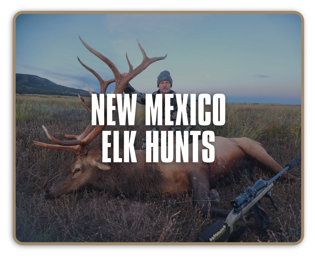 Diamond-Outfitters-New Mexico Elk-3