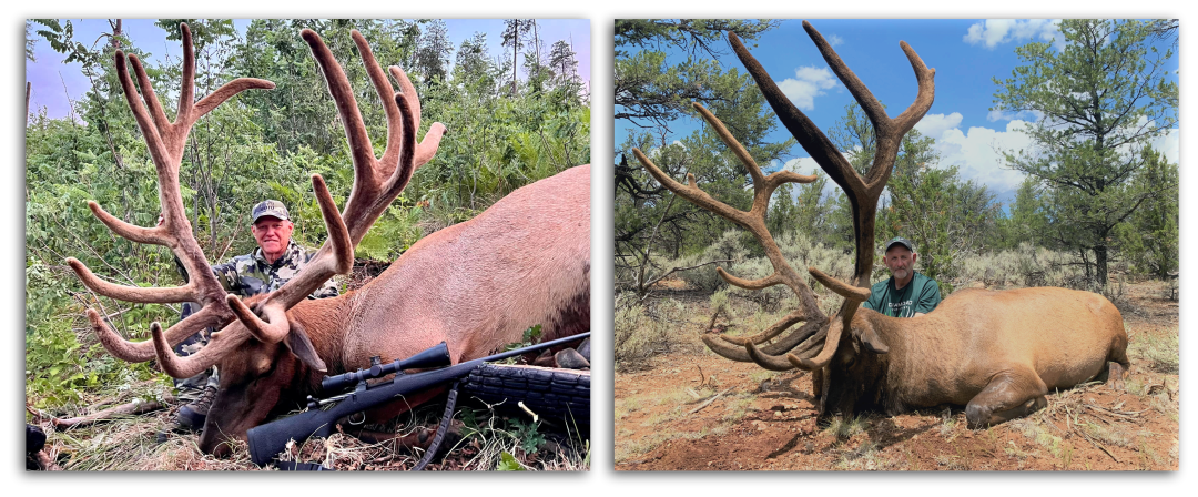 family elk hunting trips